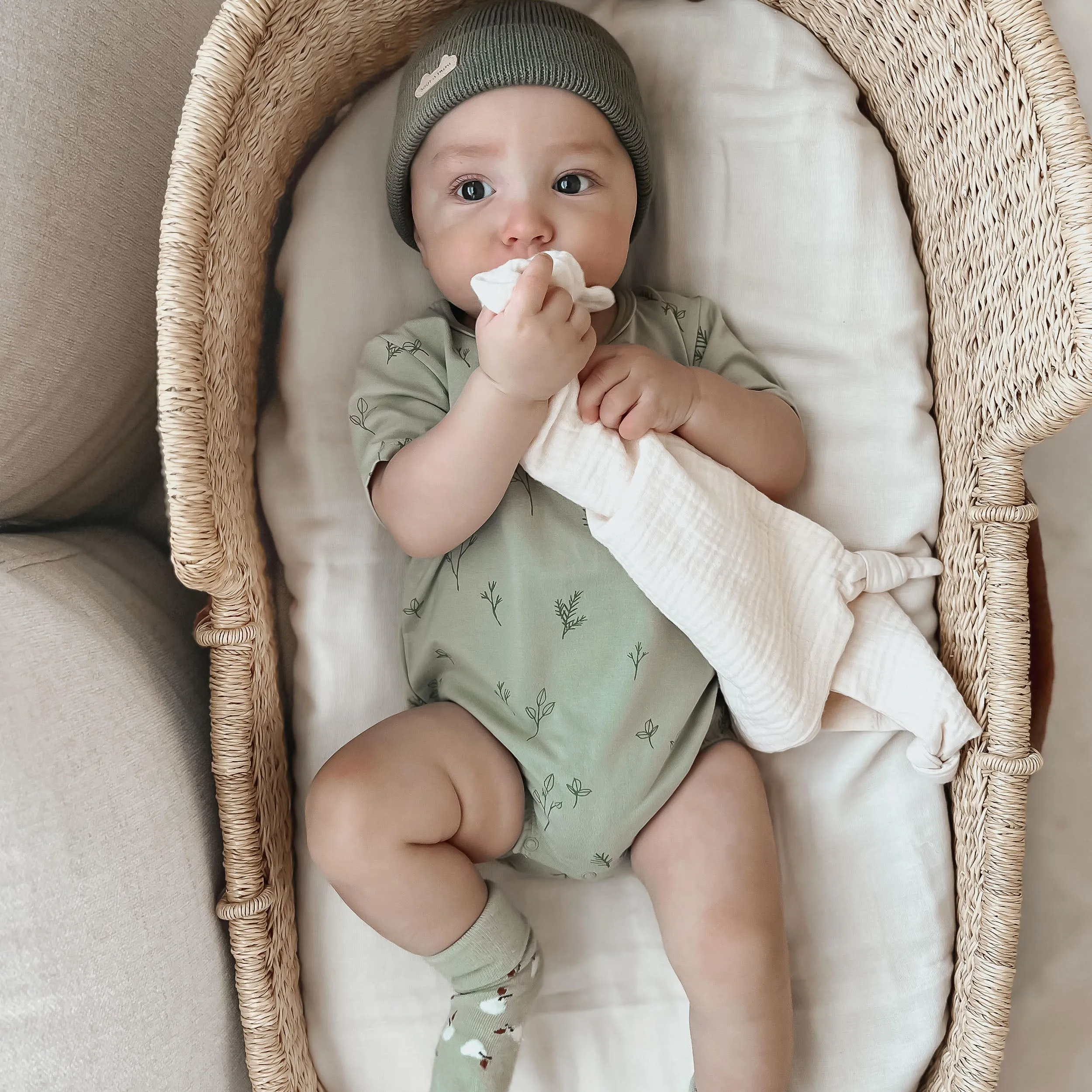 Chaussettes extensibles vertes pâles avec des poires, naissance || Pale green stretchy socks with pears, newborn
