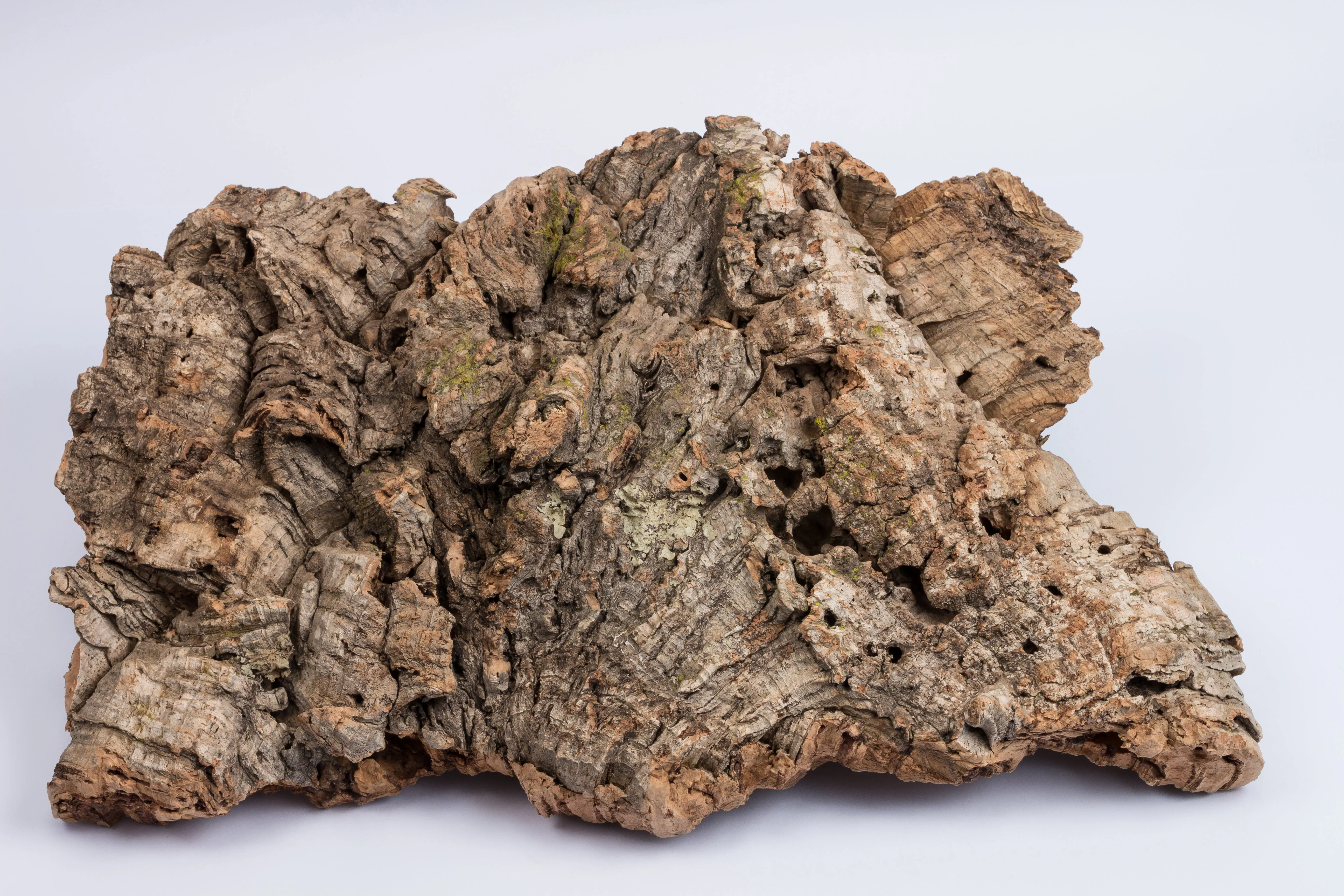Cork Bark Flats (Sellers Choice)