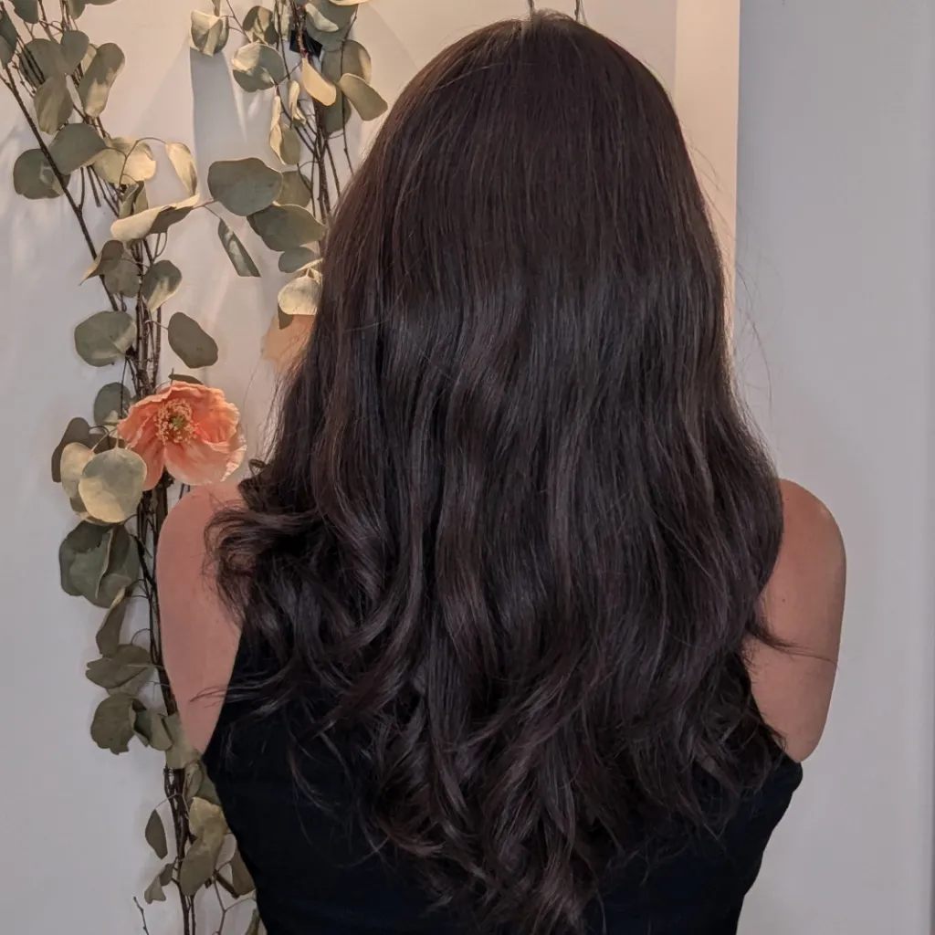 Lace Front Human Hair Wig | 14"/20" Inch Dark Brown
