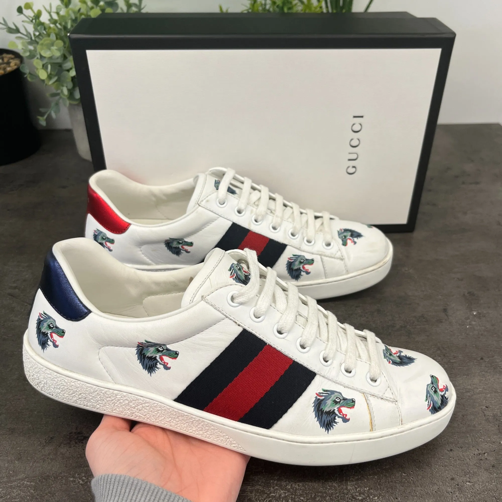Men's Ace Wolf Low Trainers White Size EU 41 / UK 7