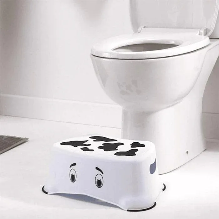 My Carry Potty My Little Step Stool