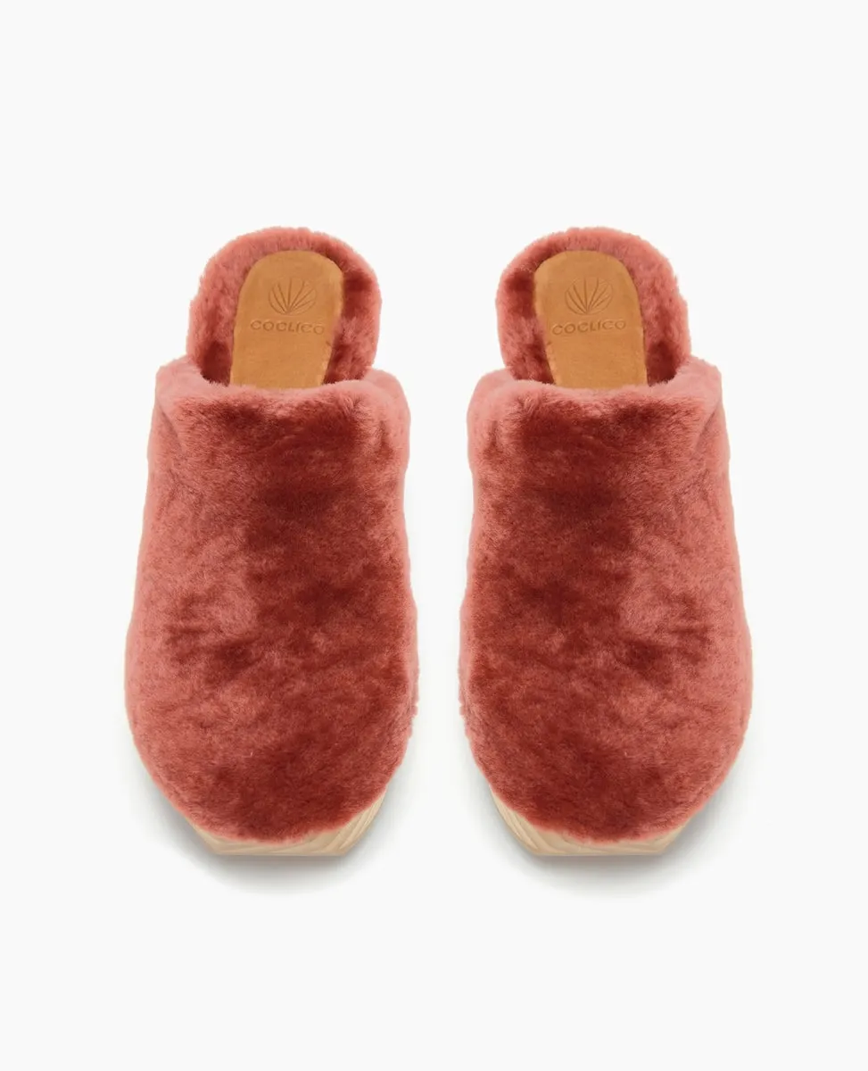 Ocean Clog