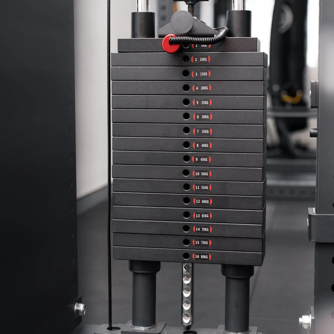 VULCAN Wall Mounted Olympus Functional Trainer | IN STOCK
